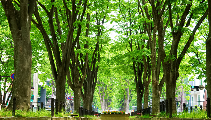 スマイルサポーター清掃活動